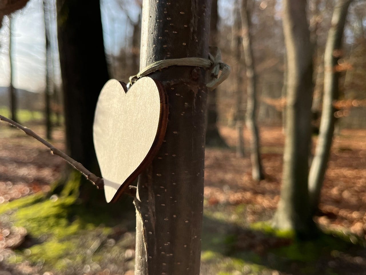 Herz aus Holz am Baum - Symbol für würdevollen Abschied und stille Trauer © Uwe Alschner